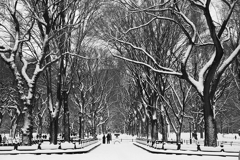 Snowstorm : 2021 : New York : Personal Photo Projects :  Richard Moore Photography : Photographer : 